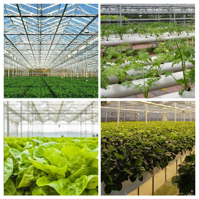 全光谱植物生长灯跨境温室内大功率led工业种植育苗灯植物灯