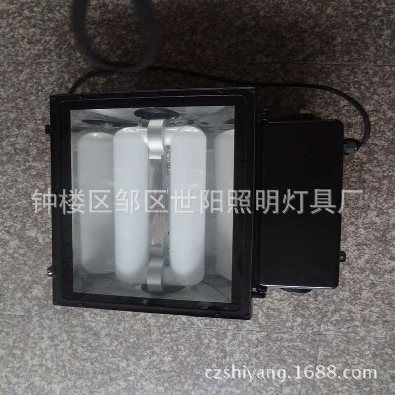 高低频无极灯灯具  灯具配件灯罩无极灯泛光灯集装箱整柜