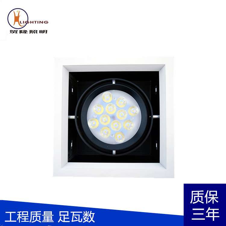 LED双头斗胆灯 SMT格栅射灯 ar111豆胆灯 单头双头三头四头