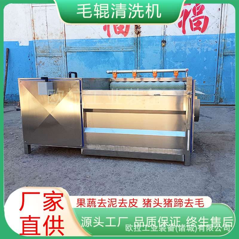 毛辊去皮清洗机 地瓜去泥沙去灰尘清洗设备 胡萝卜果蔬去皮机