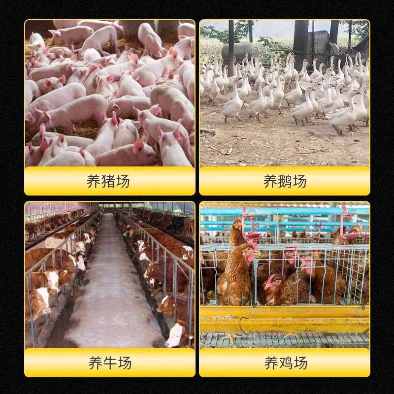 大牧人牛舍负压风机专用设备悬挂式牛场畜牧养殖降温风机