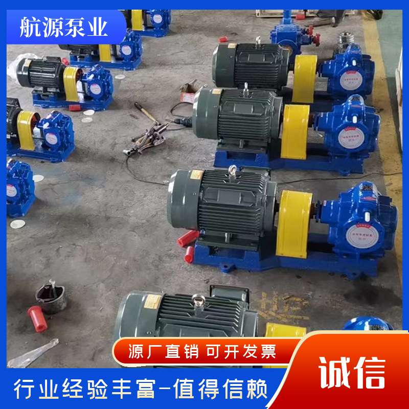 2CY系列齿轮泵 食用油洗洁精自吸泵 304不锈钢微型涂料齿轮油泵