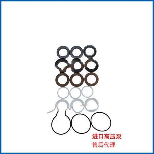 AR高压泵RGX22.50高压柱塞泵配套水封套装COD.43410