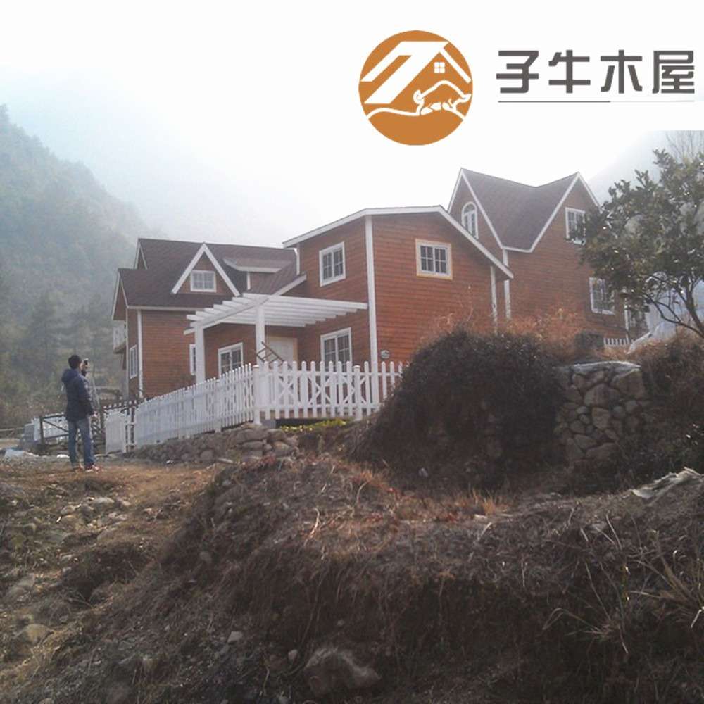 浙江厂家移动组合式木板房全屋可拆卸民宿木别墅原木度假村房子