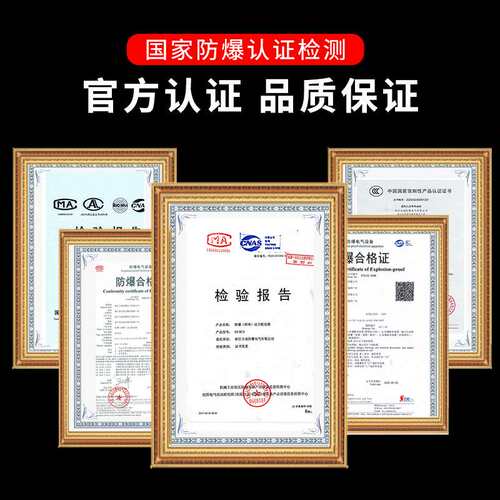 粉尘防爆触摸屏控制箱隔爆IIB不锈钢开关箱快开门防爆温控仪表箱