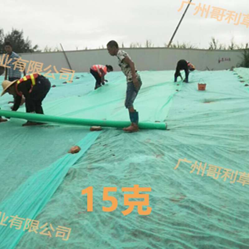 抗老化园林绿化无纺布种植用边坡绿色盖土网布草坪护坡无纺布整卷