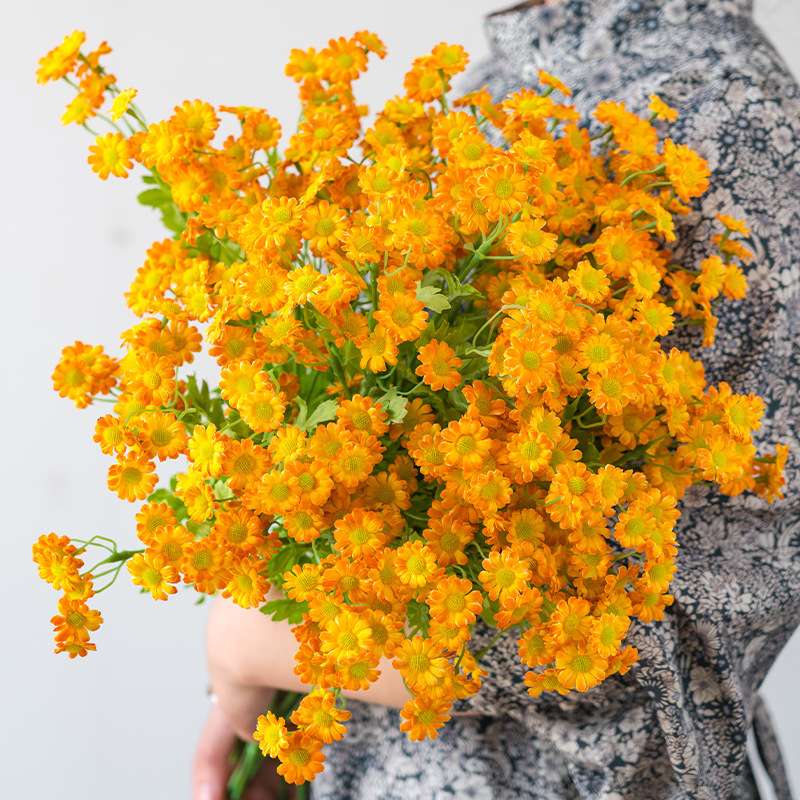 奶油洋甘菊小雏菊假花仿真花高档新款花店花瓶桶插花摆设花艺摆件