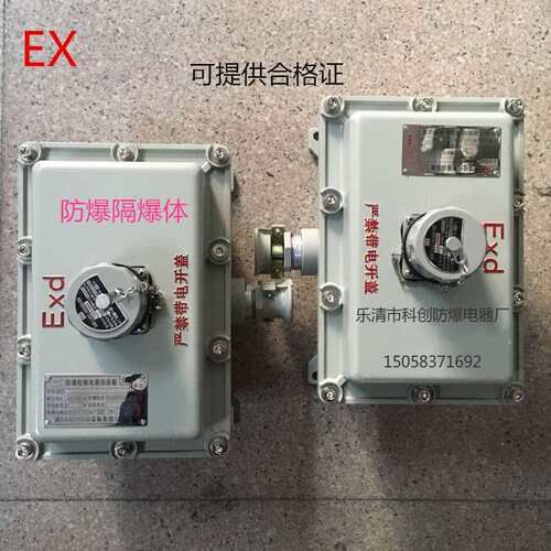 防爆接线箱 300*135 防爆箱 EXJ99系列BXJ