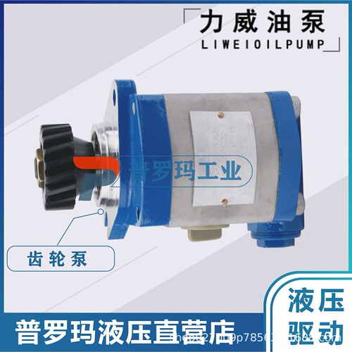 1032300027 中联重科ZOOMLION合肥力威液压助力油泵QC25/13-WP-PY