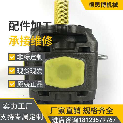 成型机油泵PVV2-1X/045LA15DMB高压油泵PVV2-1X/045LA15UMB塑机泵