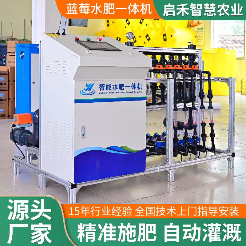 蓝莓草莓施肥灌溉一体设备全自动无土栽培智能水肥一体机多功能