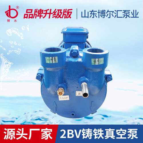 2BV水环式真空泵2BV2071真空泵铸铁不锈钢抽气泵淄博厂家