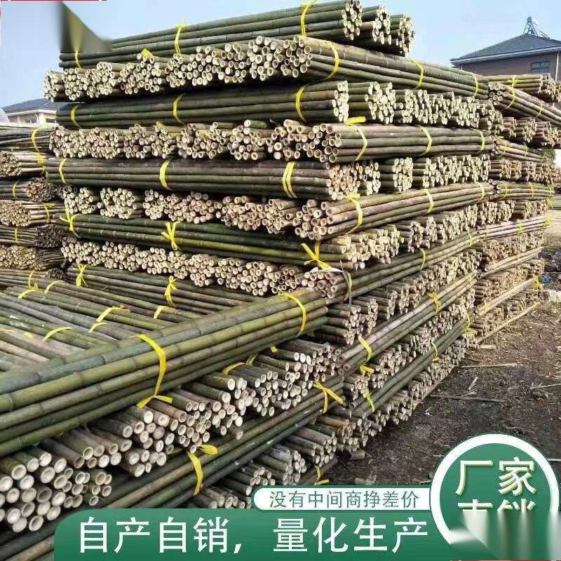 竹竿子搭架竹架子竹子杆菜园豆角黄瓜西红柿瓜果蔬菜架杆园艺支架