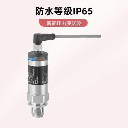 E+H德国PMC11压力变送器PMP21PMC11