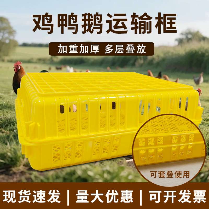 塑胶周转筐鸡笼鸭笼运输筐鸡鸭周转箱鸽兔运输笼加厚长方形周转框