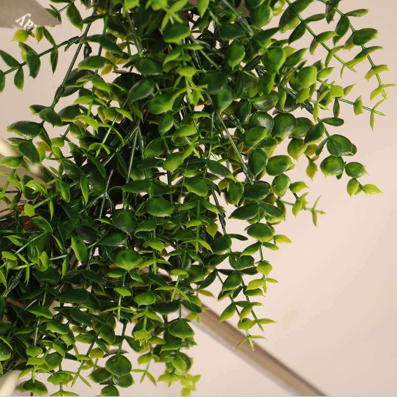 鸿禹50CM尤加利叶花环银色蝴蝶结仿真植物门挂藤圈壁挂装饰亚马逊