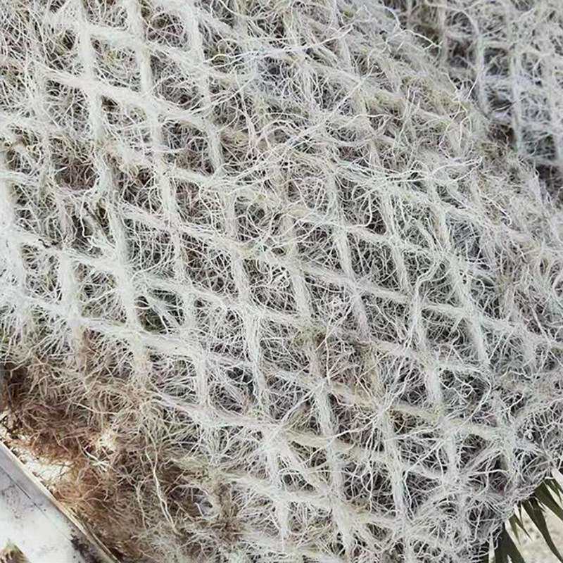水稻育秧毯水稻毯状基质 水稻育秧盘育秧毯无秧盘育秧毯