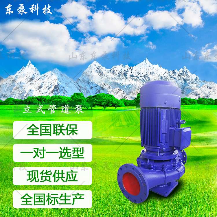 现货供应 IRG热水锅炉循环 空气能热能循环泵 地暖增压稳压管道泵