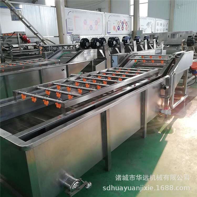 金针菇预煮清洗机 菌类菇类专用清洗机 即食玉米加工设备流水线