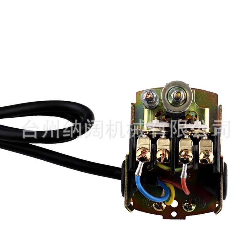 跨境DP全自动浅井泵高吸程双管吸程家农用花园灌溉自吸喷射泵110V