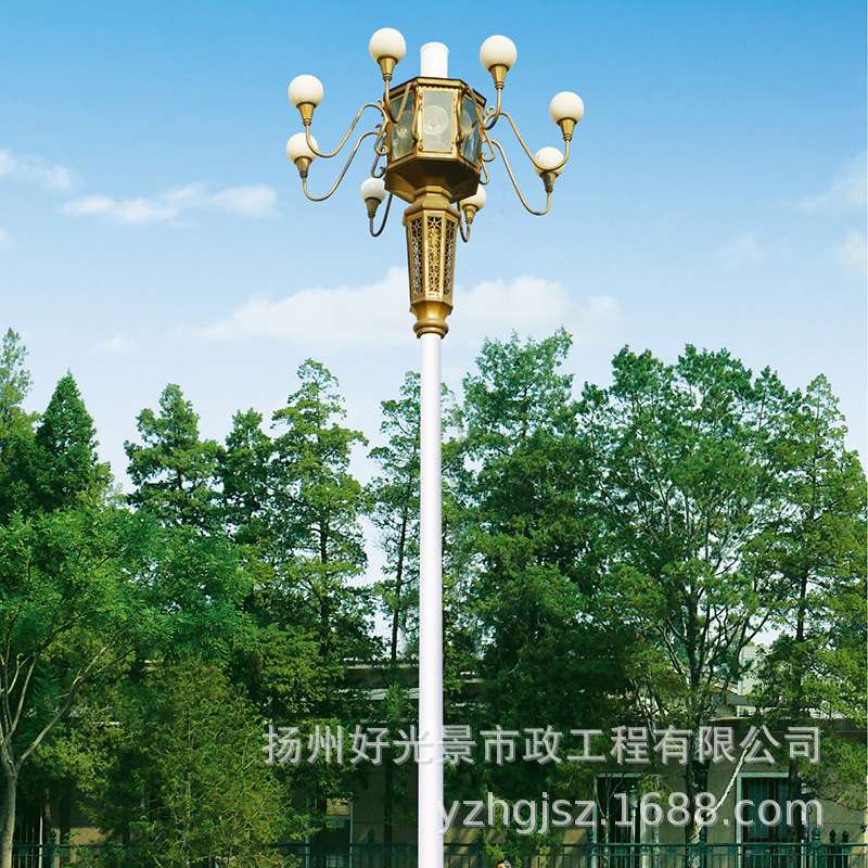 LED户外组合灯玉兰灯景观灯广场道路照明园林亮化路灯 厂家