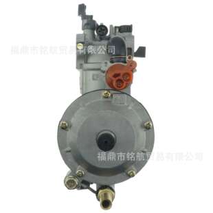 P21A-LPG 177F 3KW化油器双燃料转换套件适用GX270水泵发电机配件