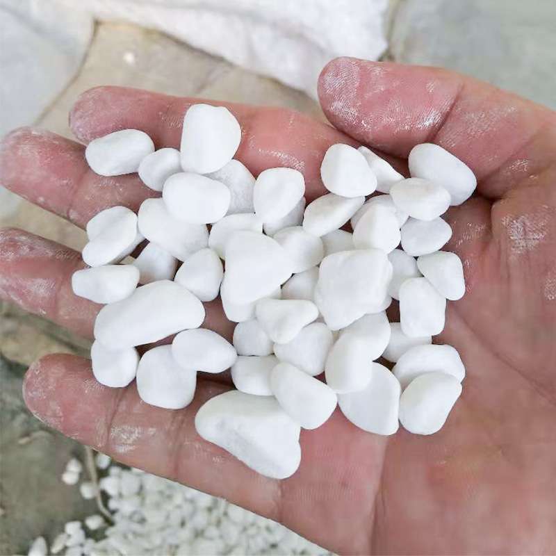 雪花白 白色鹅卵石 园林铺路机制 鱼缸造景园艺多肉盆栽雨花石头
