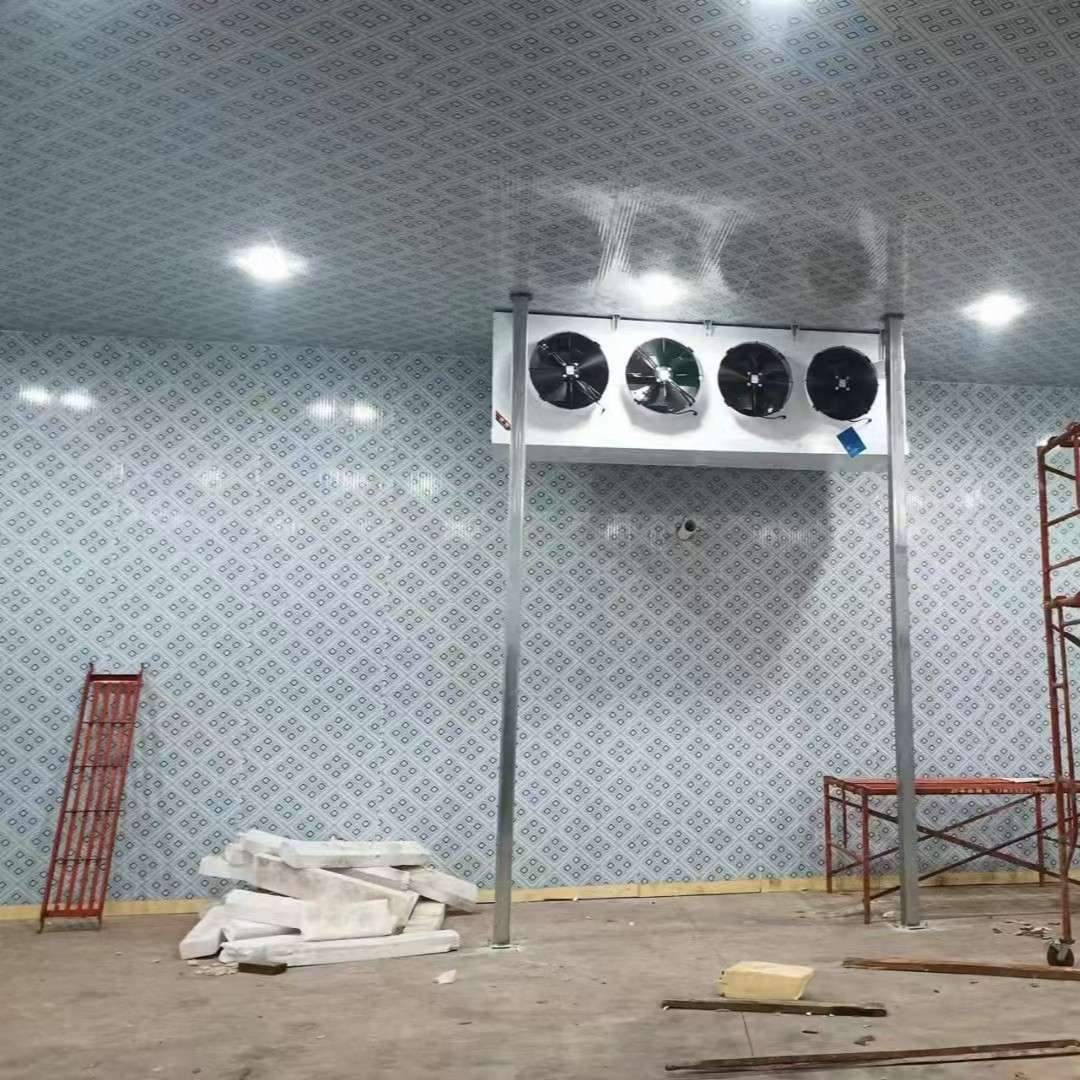海南水果冷库冷藏库 海口花卉冷库设计 三沙小型冷库工程安装设计