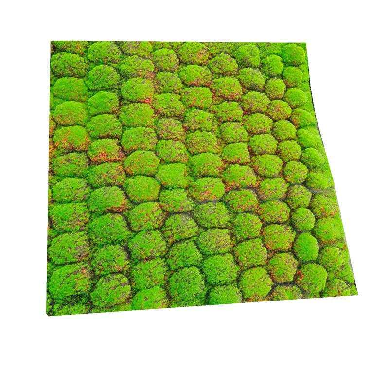 苔藓青苔仿真墙绿化假植物墙铺底术厂家 永生植物墙仿真绿植墙