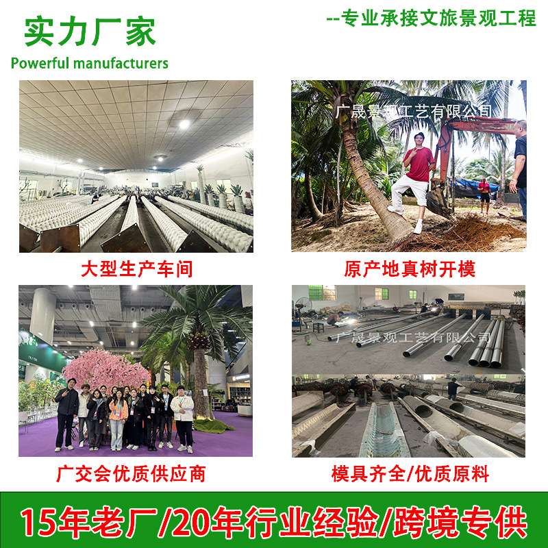 越南广宁省云屯县项目仿真海枣树椰子树市政工程案例大型仿真假树