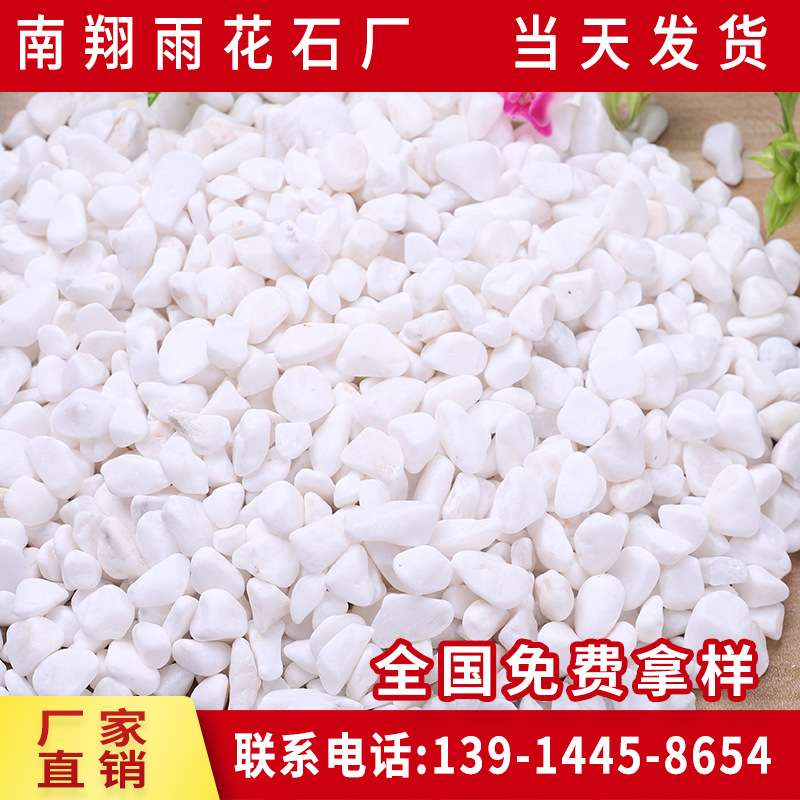 白色鹅卵石 白色石子 盆栽铺面雪花白 鱼缸造景机制雨花石头