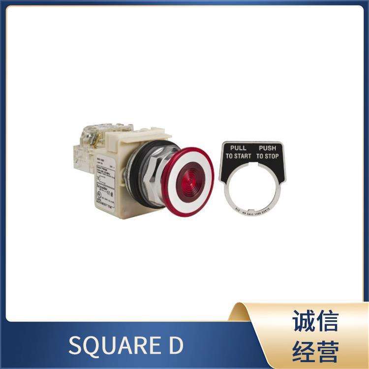 开关指示灯按钮 9013FYG2J21B8U2C20 SQUARE D 电子元器件
