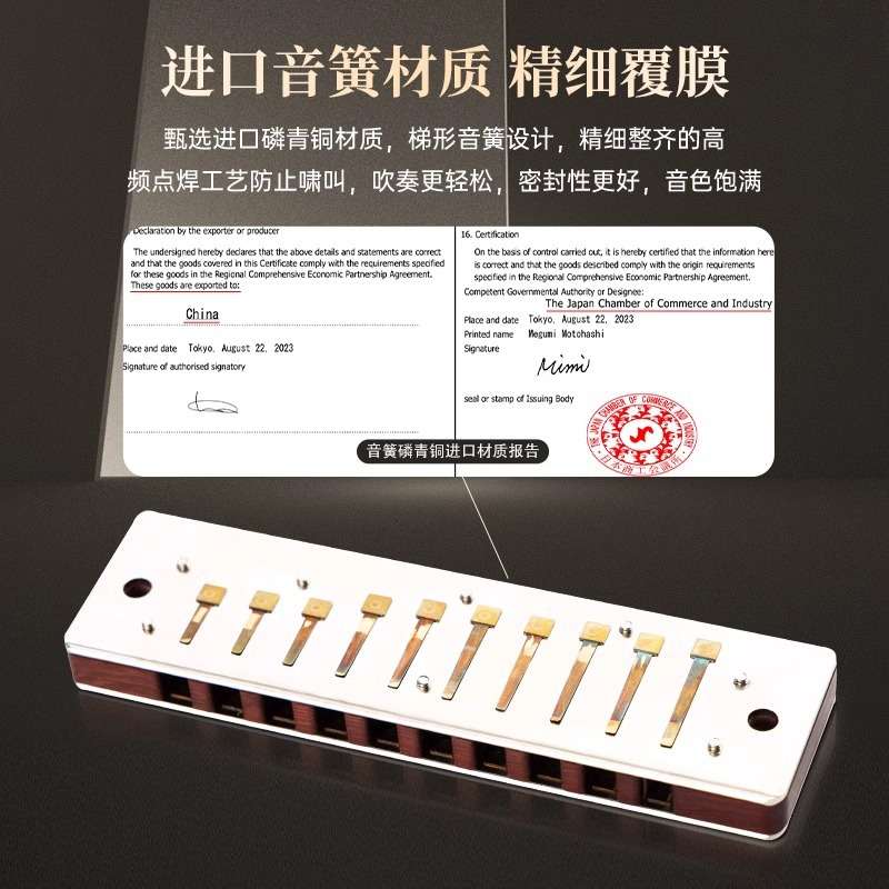 FEIFAN飞繁F901十孔木格学生初学者布鲁斯蓝调口琴专业演奏乐器