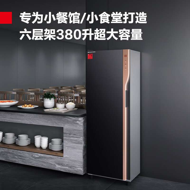 德玛仕 消毒柜商用餐具紫外线高温消毒食堂酒店单门 XDZ380-G5