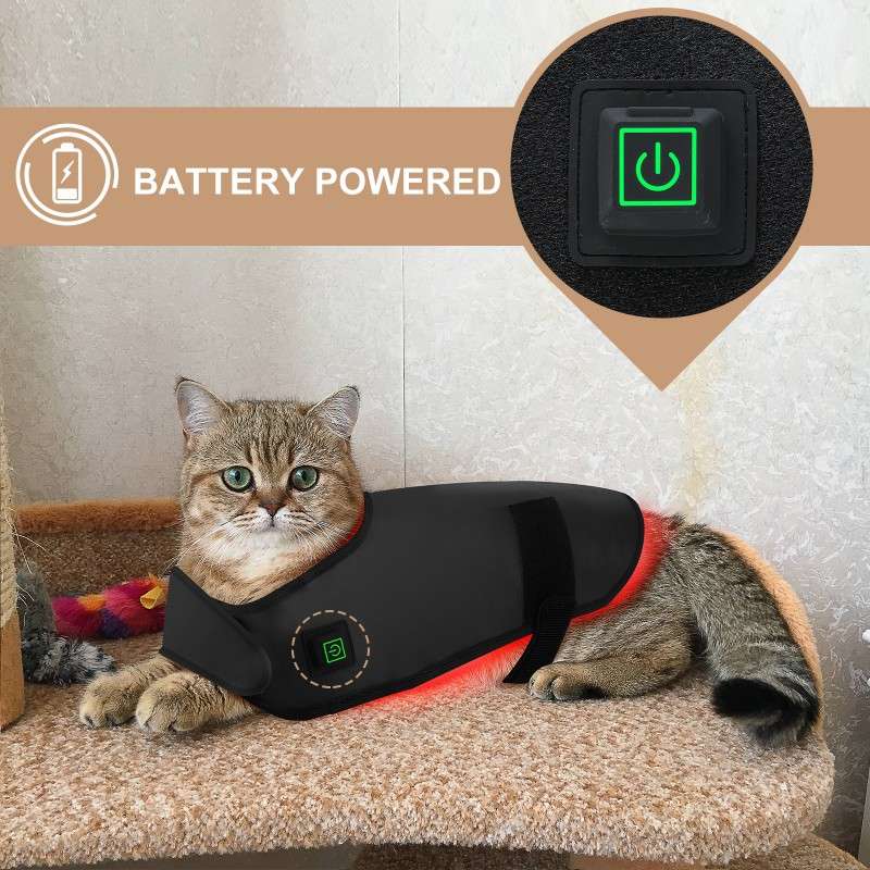 S码红光红外理疗猫狗背腹部受伤恢复骨折愈合家用无线便携定时