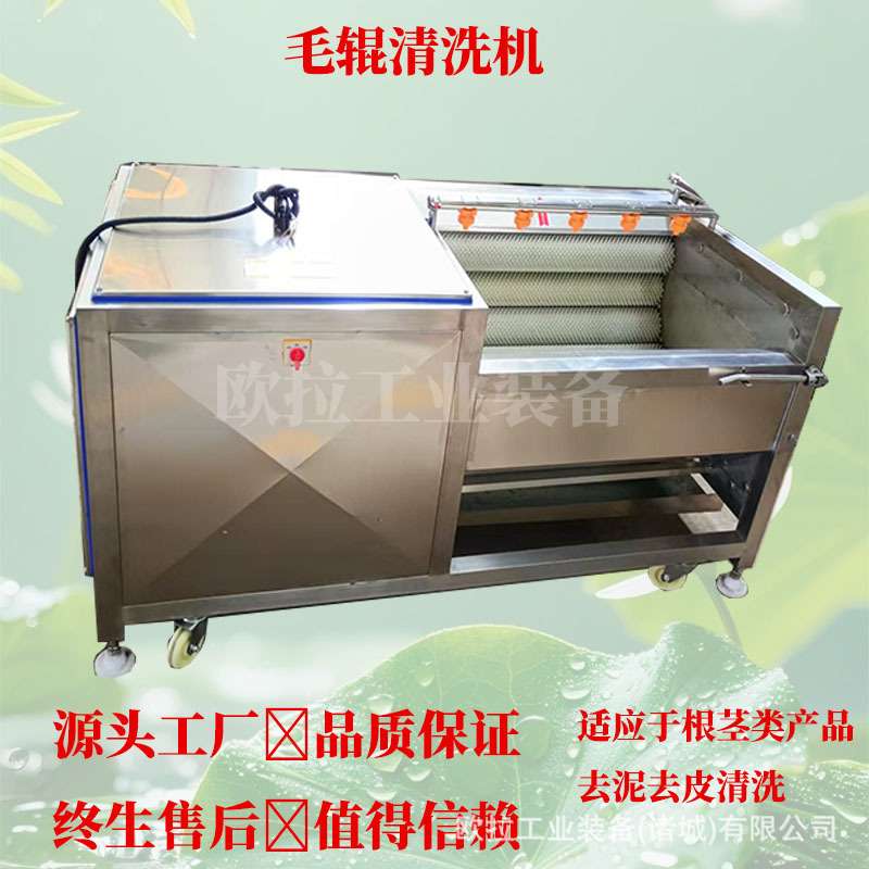 洋葱毛刷去皮清洗设备 莴苣去皮清洗机器 多功能商用毛刷清洗机