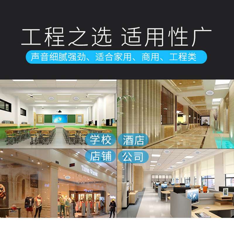 厂家 定阻定压两用吸顶喇叭家庭影院吸顶音箱同轴音响套装商用