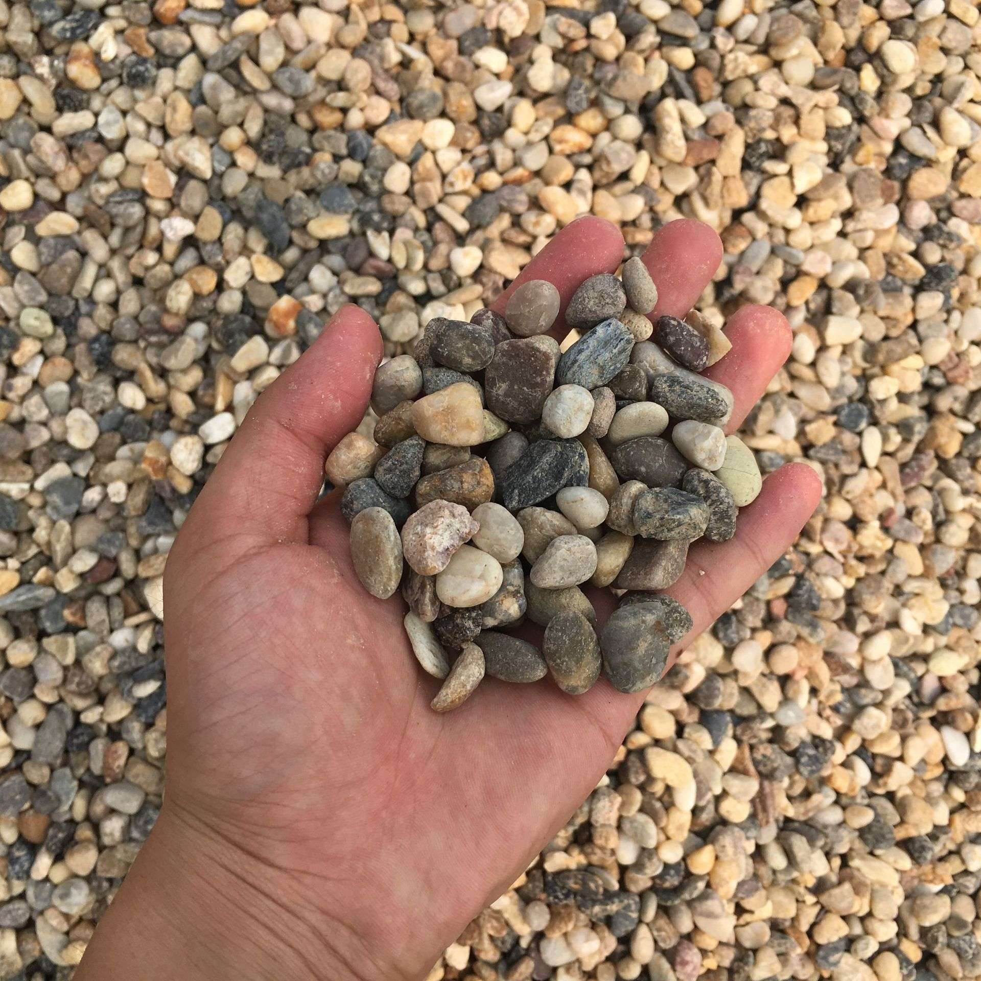 厂家直销地暖回填专用豆石 污水处理过滤砾石垫层石子 鹅卵石滤料