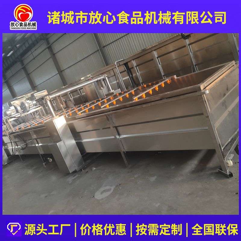 瓜果蔬菜气泡清洗机 大型升降式气泡清洗机 自动提升洗菜机