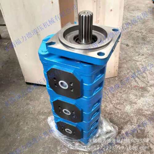 厂家直销CCBG2050/2040-BFHL,CBG2080/2080-BFPL铸铁双联齿轮油泵