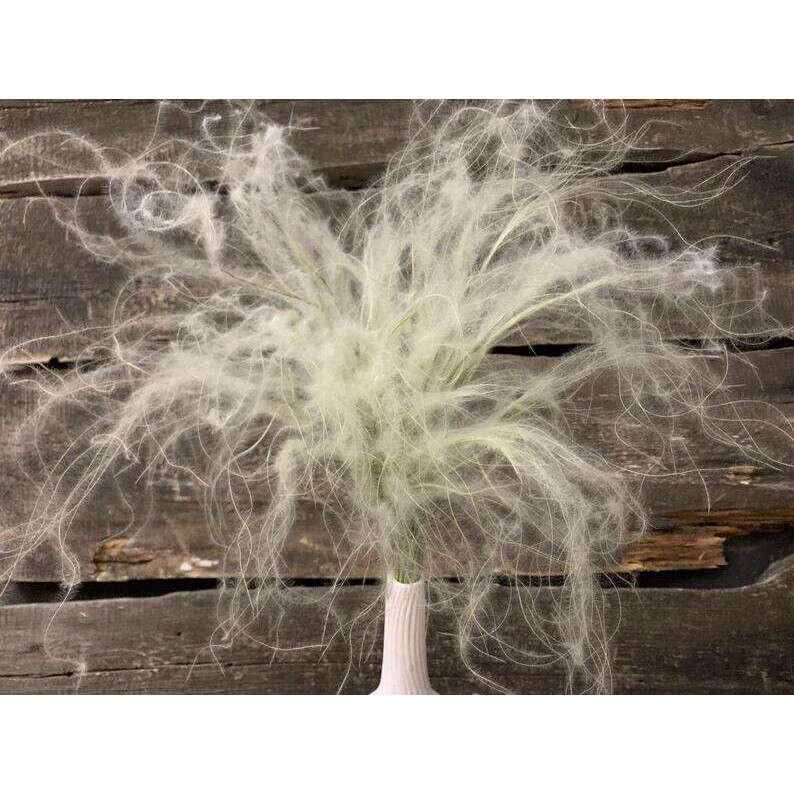 羽毛草梦幻草 婚庆配材天然植物永生保鲜花漂色保鲜花配材