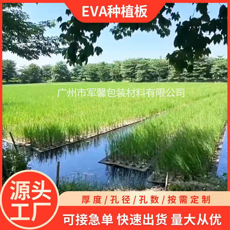 eva水稻种植漂浮板水培蔬菜种植浮床鱼菜共生泡沫板