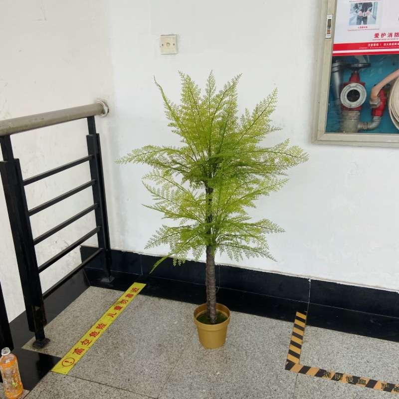 仿真手感凤尾蕨叶蕨草植物墙软装造景插花叶材假绿植波斯草小树