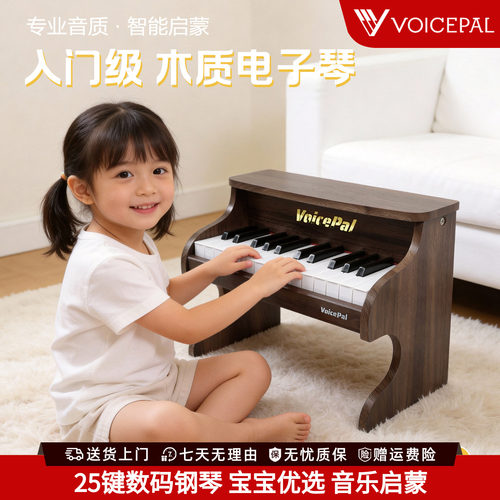 声派25键儿童数码钢琴周岁礼物