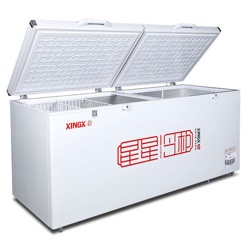 XINGX/星星 BD/BC-718G冰柜商用大容量卧式冷藏冷冻超大型冷柜