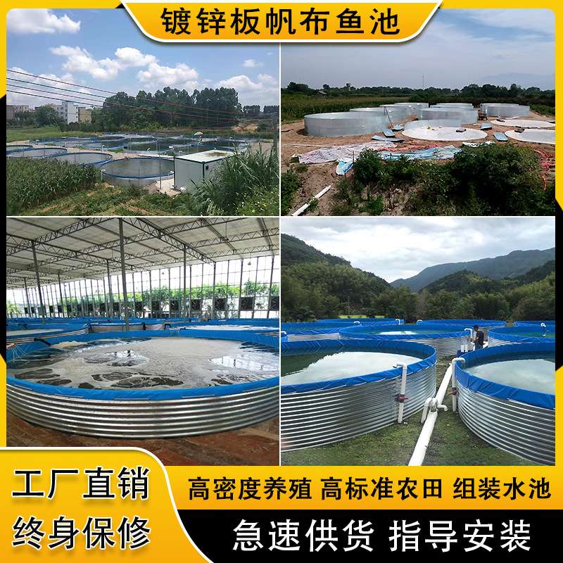 圆形镀锌板组装帆布养鱼池大容量蓄水池鱼菜共生养殖池可折叠