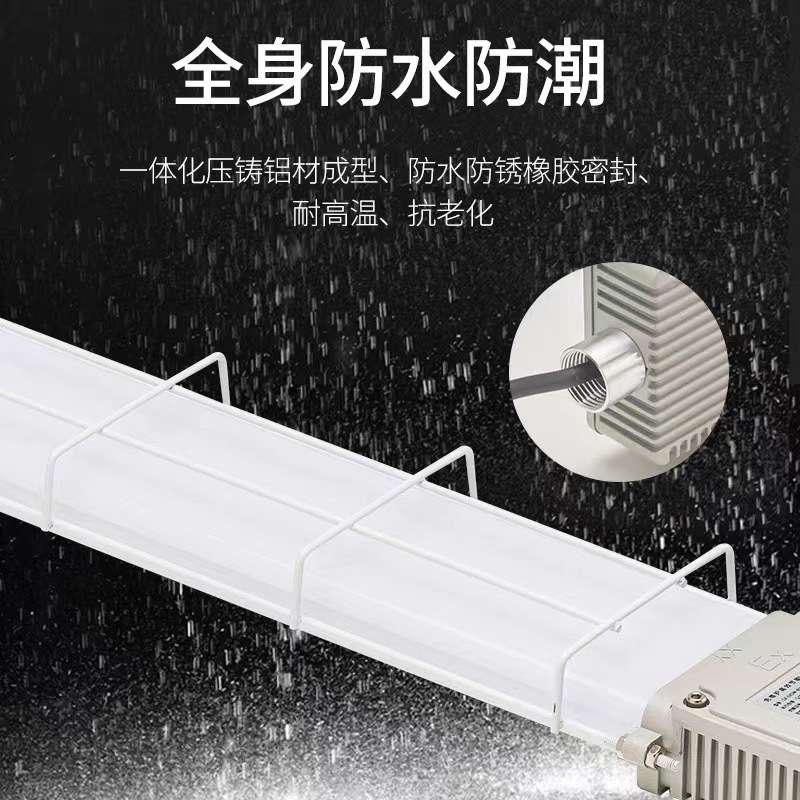 led防爆灯仓库厂房化工厂厨房工业加油站专用隔爆日光照明荧光灯