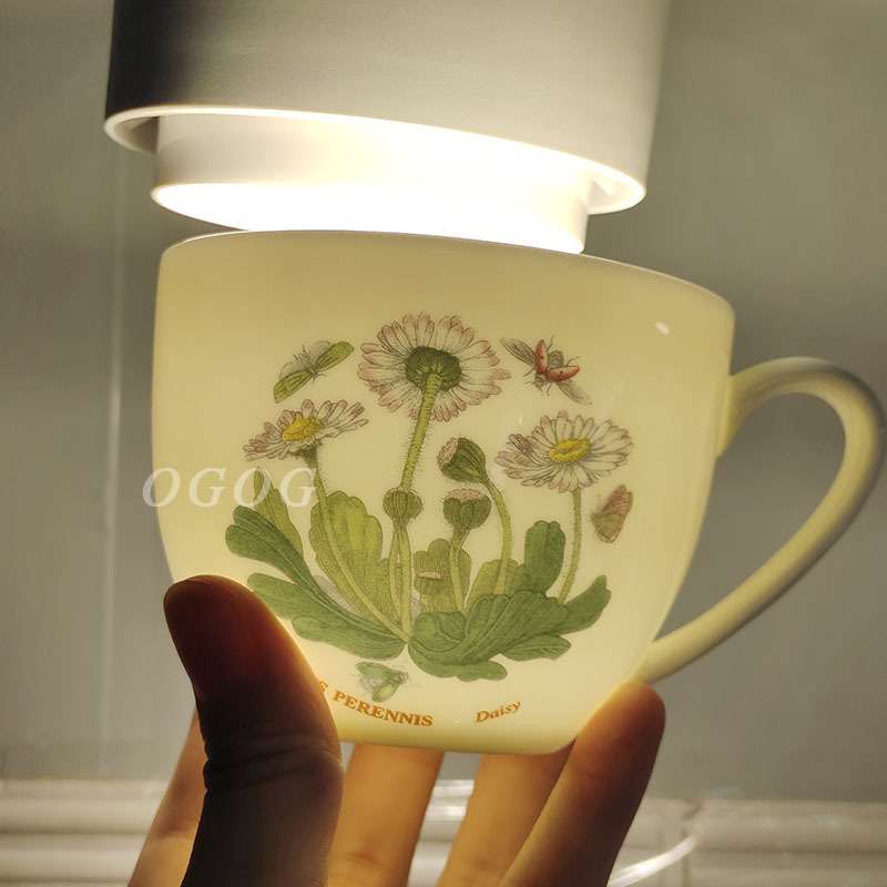 跨境直销英式咖啡杯碟波特家植物园系列骨瓷杯碟情侣对杯简约精致