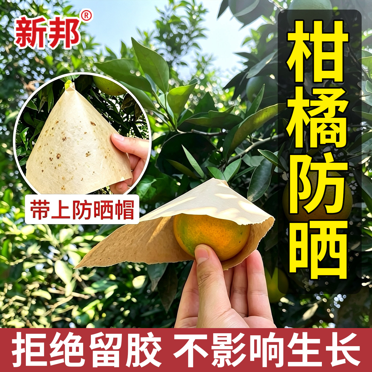 柑橘防晒贴纸脐橙水果防晒伤修复