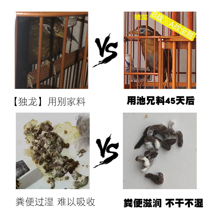 台州池兄御1号打口鸟料画眉鸟食斗鸟料提性壮膘促火专用饲料鸟粮